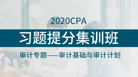 2020CPA习题提分集训班：审计专题——审计基础与审计计划