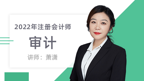 2022年注册会计师-审计
